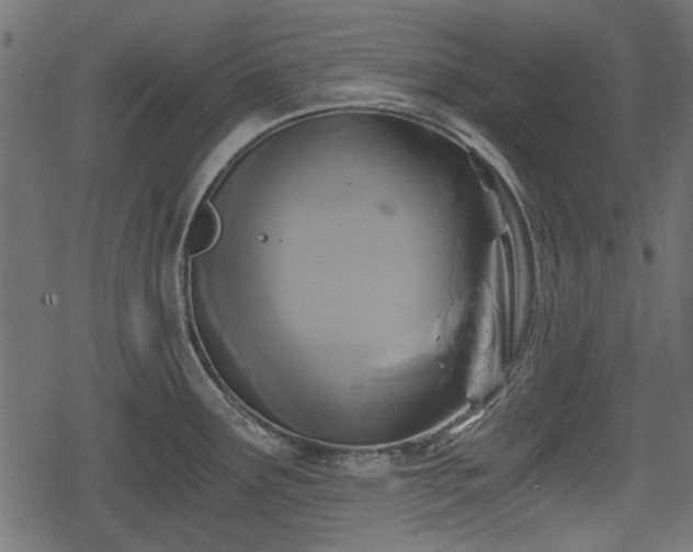 X0000068811291200605121241