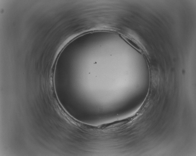 X0000068811292200605121241