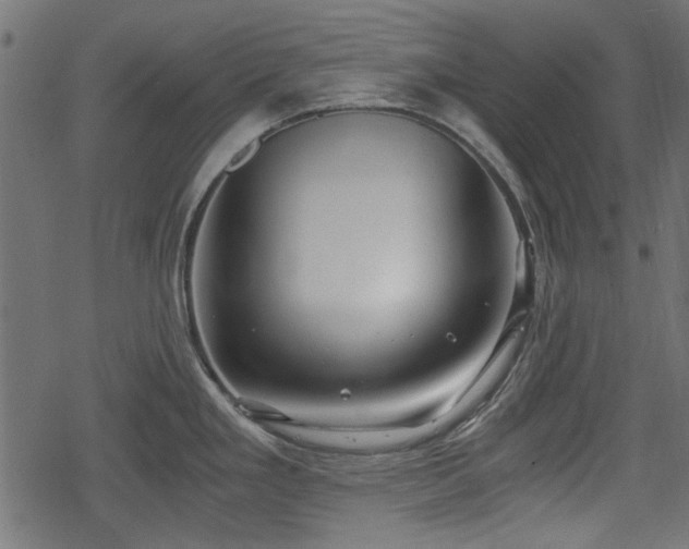 X0000068811293200605121241