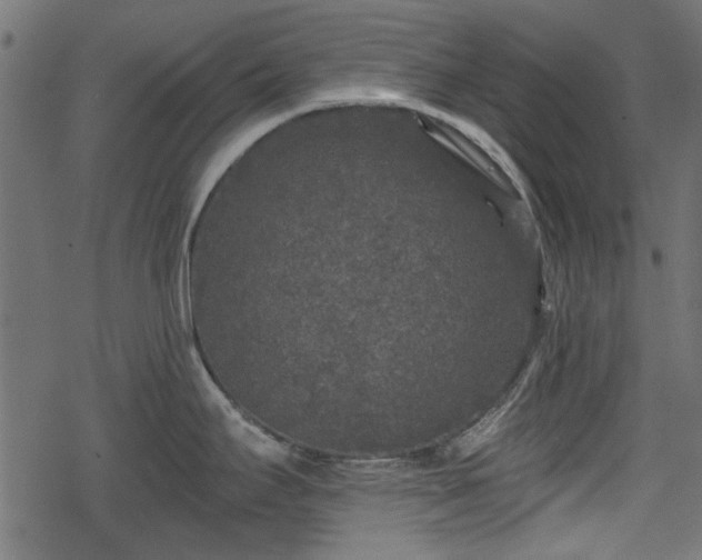 X0000068811295200605121240