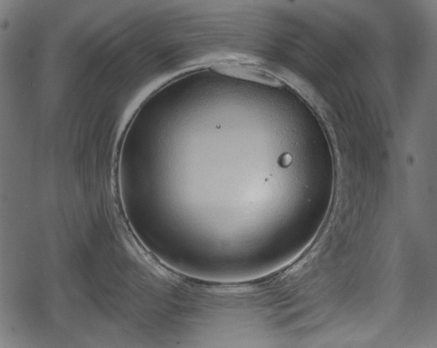 X0000068811296200605121240