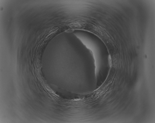 X0000068811297200605121240