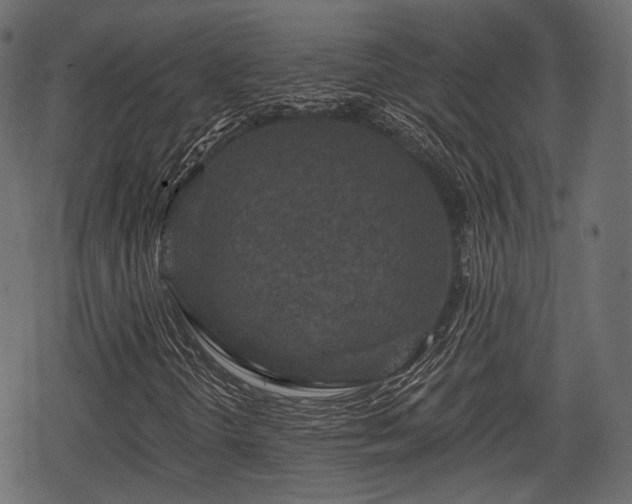 X0000068811298200605121240