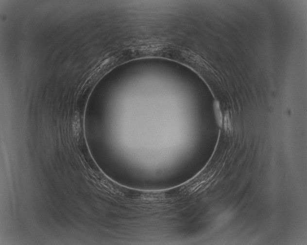 X0000068811299200605121240