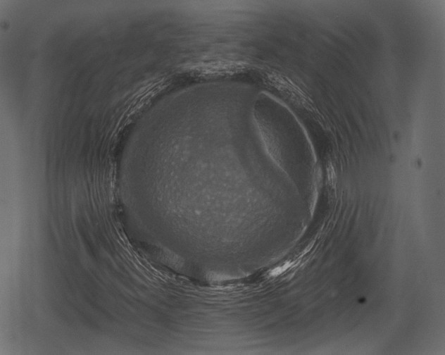 X0000068811300200605121240