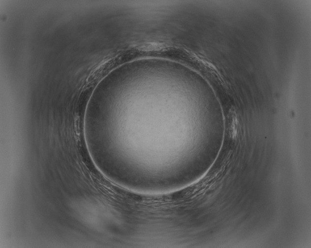 X0000068811301200605121240