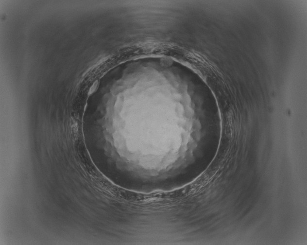 X0000068811302200605121240