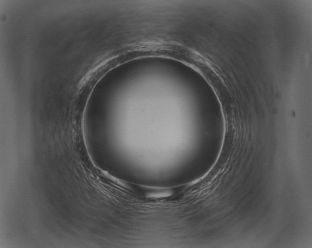 X0000068811304200605121240