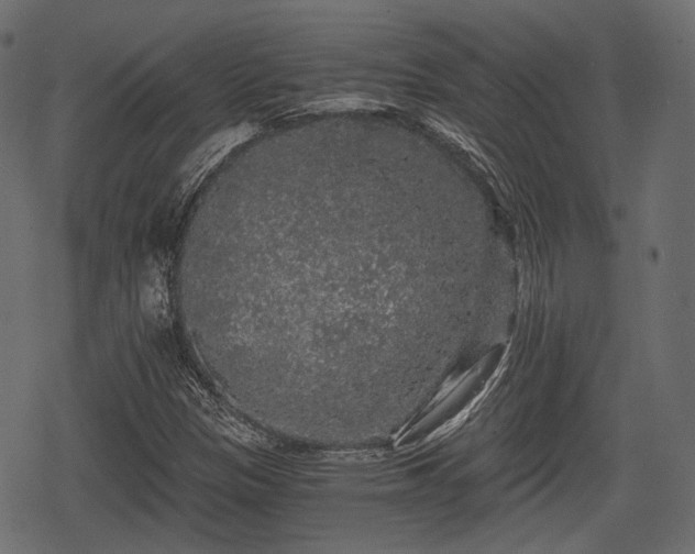 X0000068811305200605121240