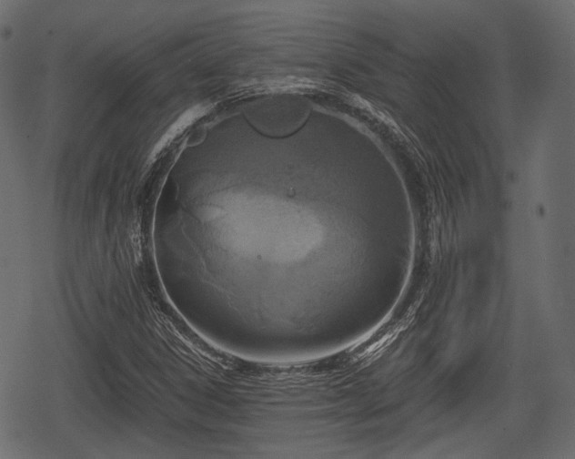 X0000068811306200605121240