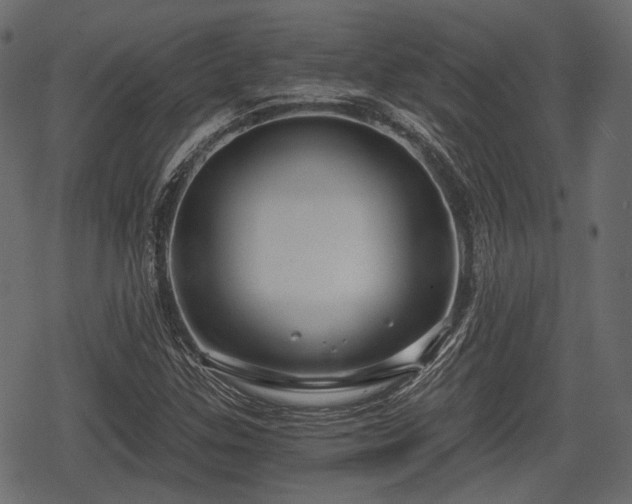 X0000068811307200605121240