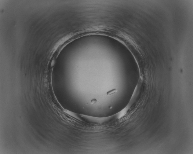 X0000068811308200605121240