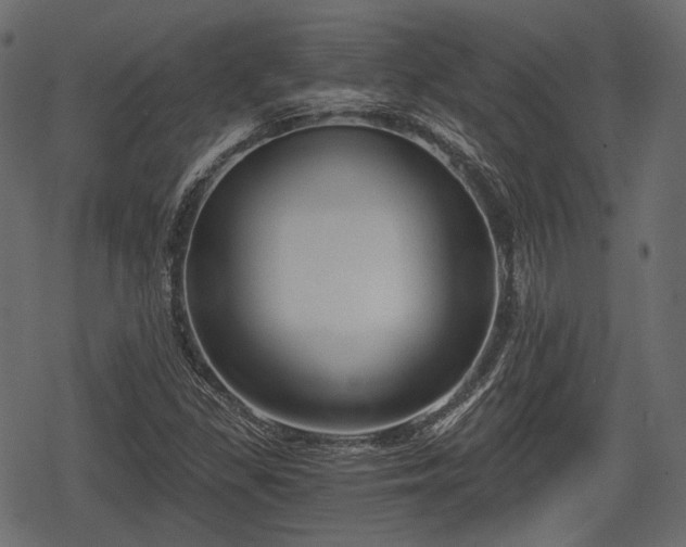 X0000068811309200605121240