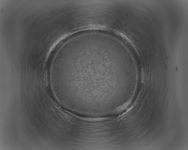 X0000068811310200605121240