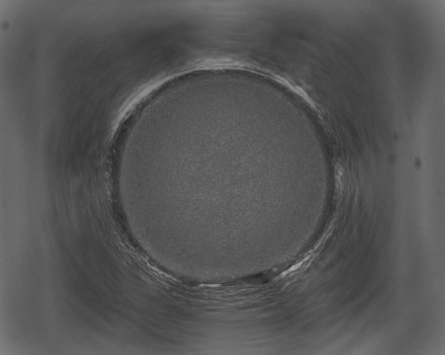 X0000068811311200605121240