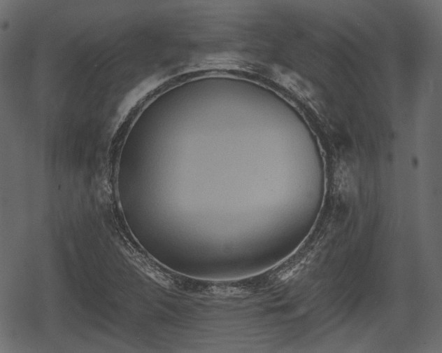 X0000068811312200605121240