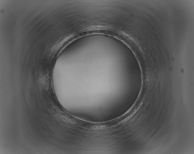 X0000068811313200605121240