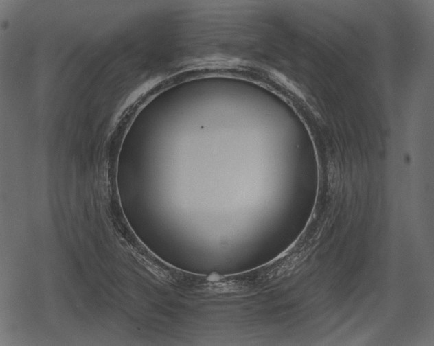 X0000068811315200605121240