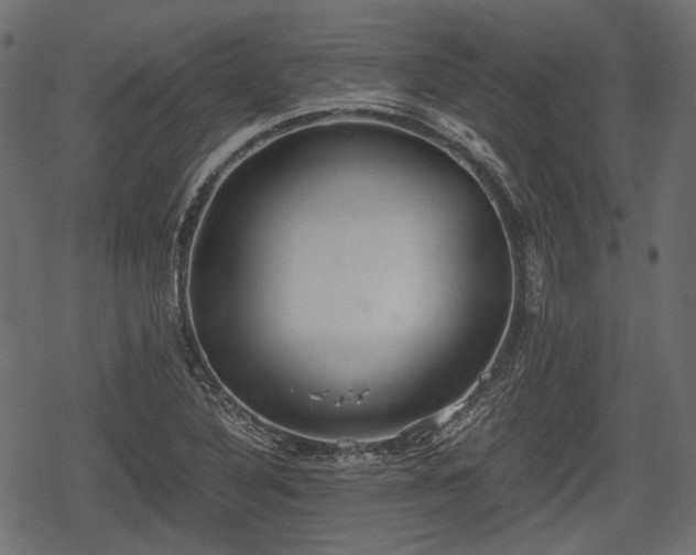 X0000068811316200605121240