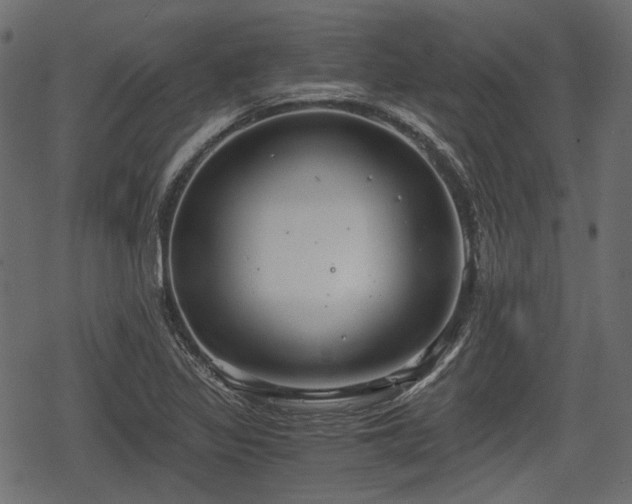 X0000068811317200605121240