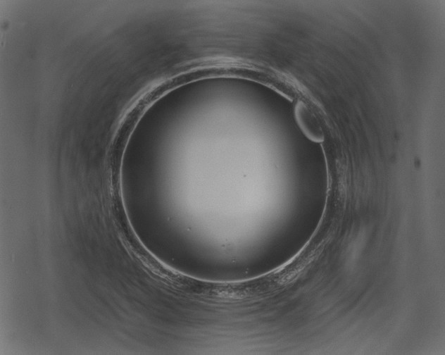 X0000068811318200605121240