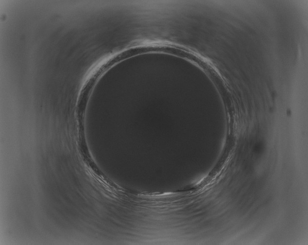 X0000068811319200605121240