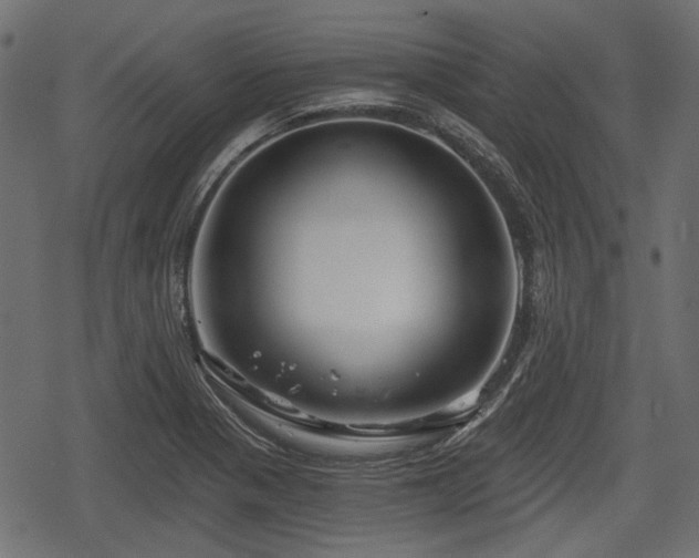 X0000068811321200605121240