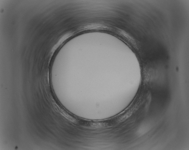 X0000068811322200605121240