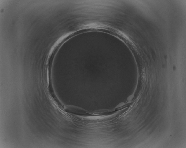 X0000068811323200605121240