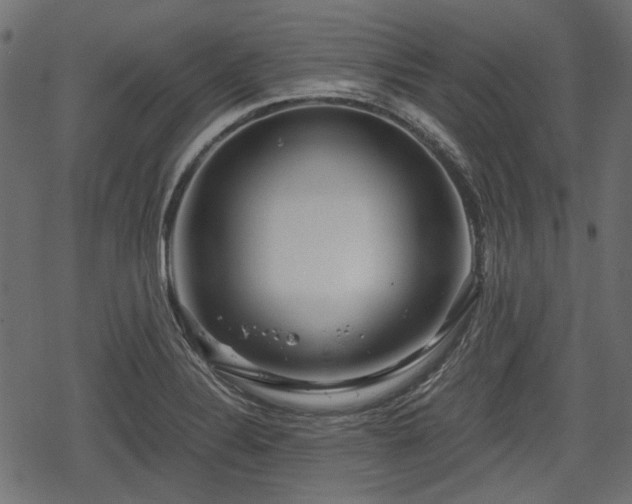 X0000068811324200605121240