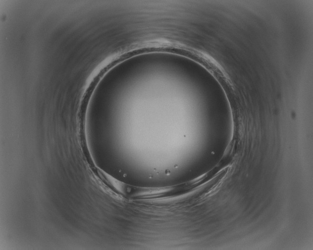 X0000068811326200605121240