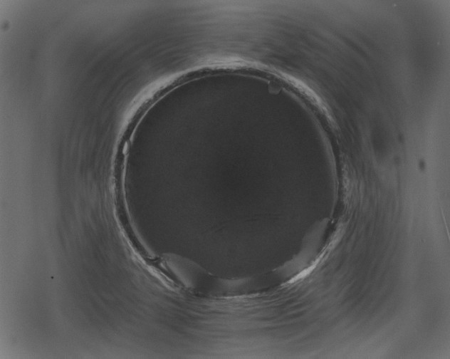 X0000068811327200605121240