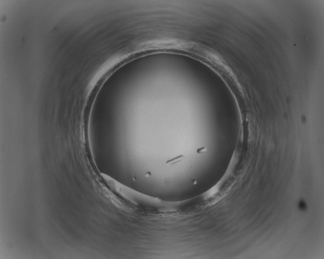 X0000068811328200605121240