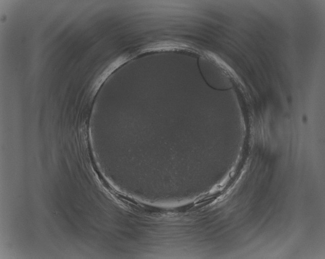 X0000068811329200605121240