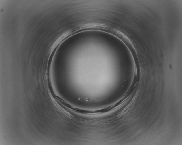 X0000068811330200605121240