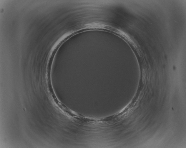 X0000068811331200605121240