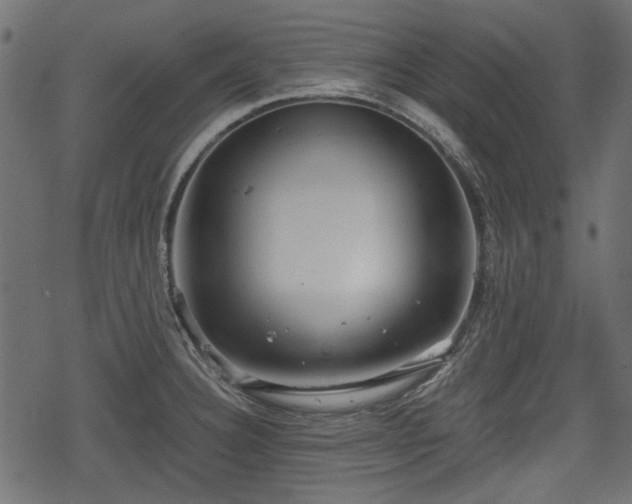 X0000068811332200605121240