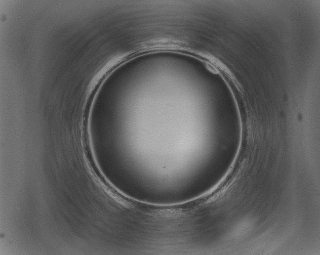 X0000068811333200605121240