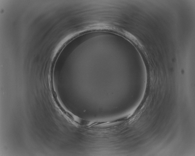 X0000068811334200605121240