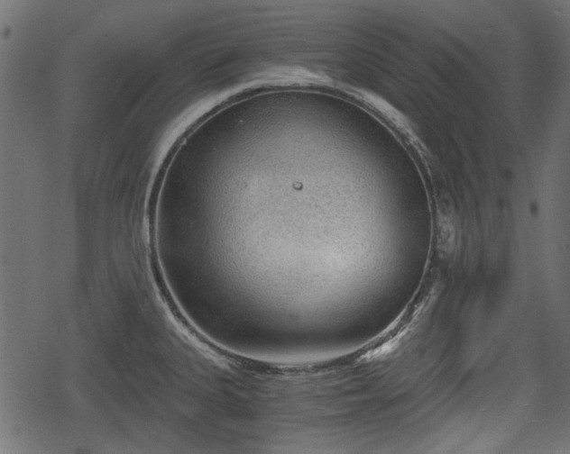 X0000068811335200605121240