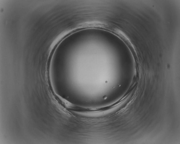 X0000068811336200605121240