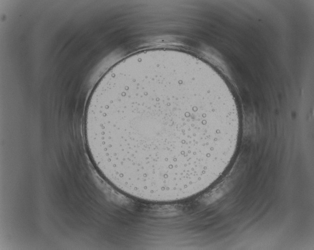 X0000068811338200605121240