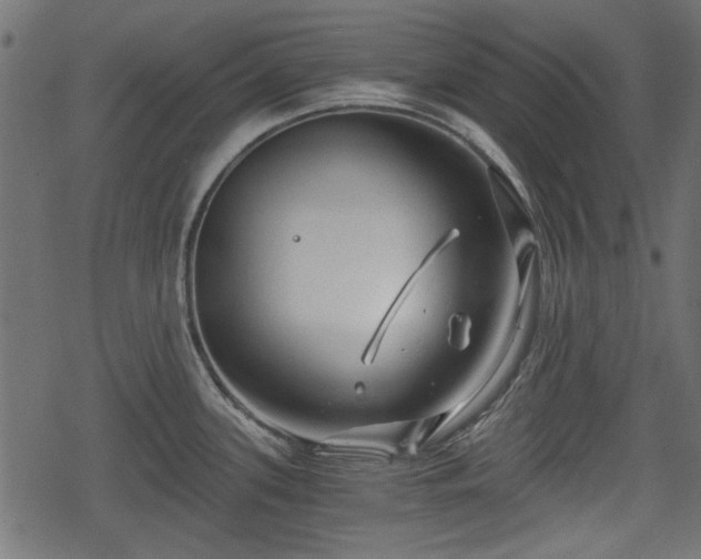 X0000068811339200605121240