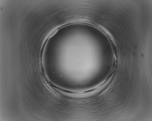 X0000068811340200605121240