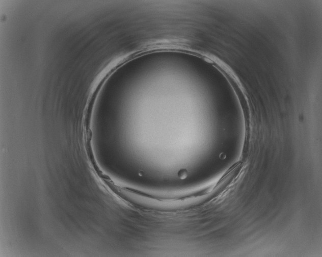 X0000068811341200605121240