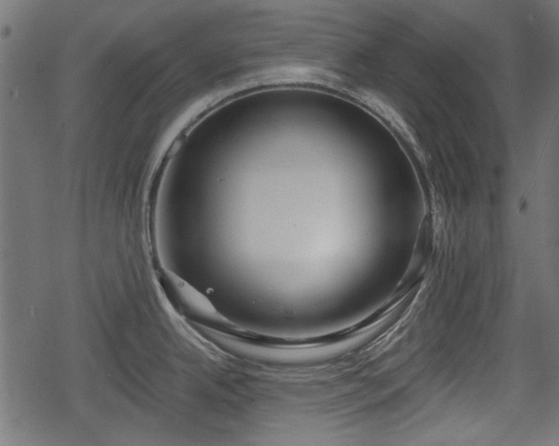 X0000068811342200605121240