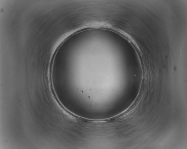 X0000068811343200605121240