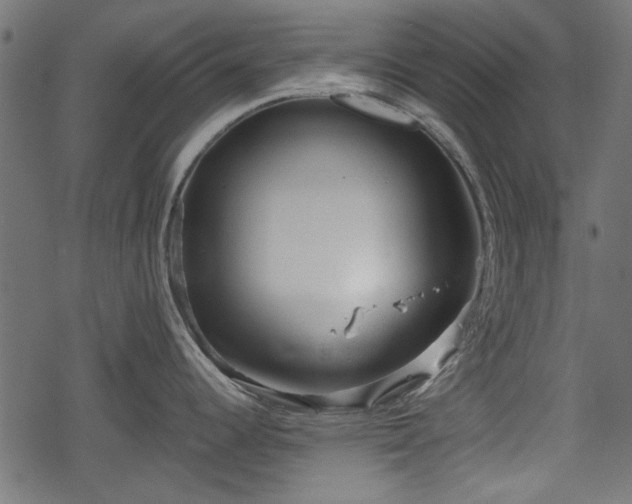 X0000068811344200605121240