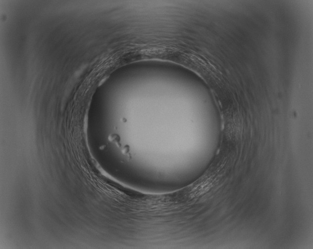 X0000068811345200605121240