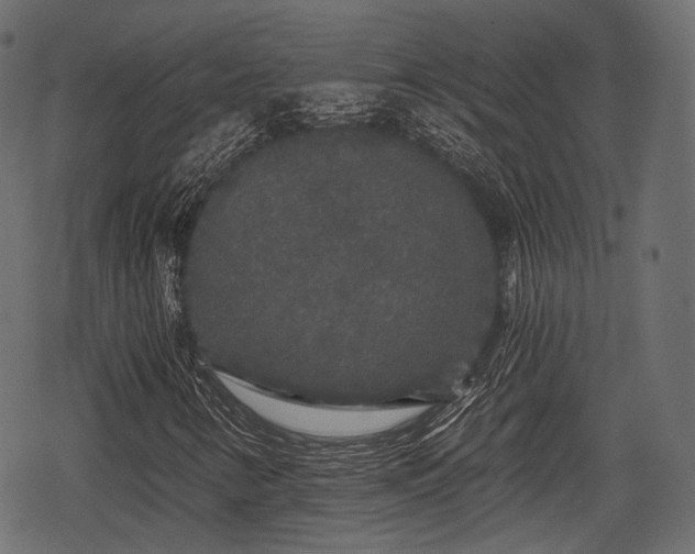 X0000068811346200605121240